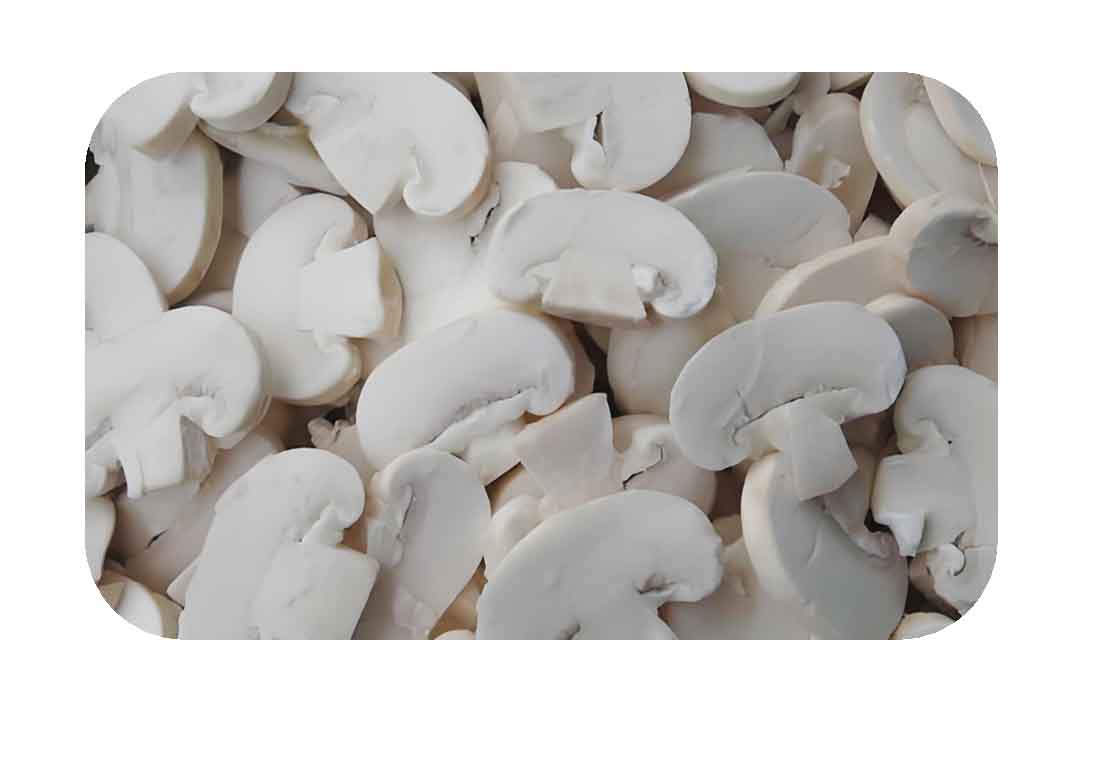 IQF Champignon Mushroom Slices 速冻双孢菇片.jpg
