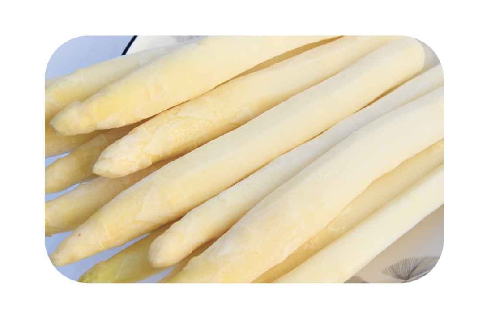 IQF White Aaparagus